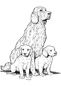 Imagens de cachorros para colorir – Página de colorir 37