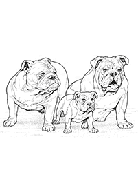 Imagens de cachorros para colorir – Página de colorir 45