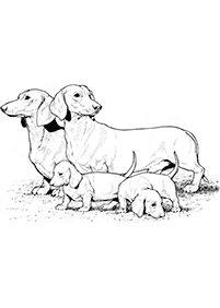 Imagens de cachorros para colorir – Página de colorir 73