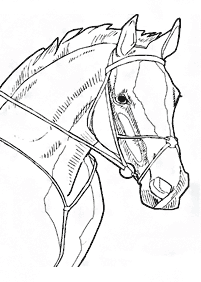 Desenhos de cavalos para colorir – Página de colorir 40