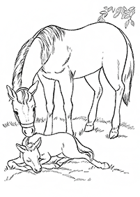 Desenhos de cavalos para colorir – Página de colorir 46