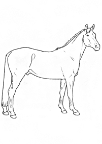 Desenhos de cavalos para colorir – Página de colorir 48
