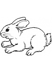 Desenhos de coelhos para colorir – Página de colorir 36