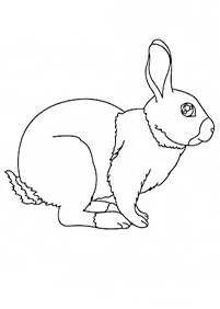 Desenhos de coelhos para colorir – Página de colorir 52