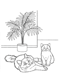 Desenhos de gatos para colorir – Página de colorir 21