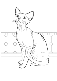 Desenhos de gatos para colorir – Página de colorir 29