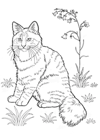 Desenhos de gatos para colorir – Página de colorir 37