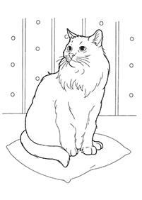 Desenhos de gatos para colorir – Página de colorir 41