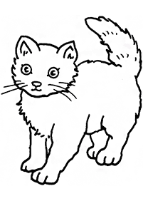 Desenhos de gatos para colorir – Página de colorir 45