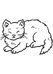 Desenhos de gatos para colorir – Página de colorir 49