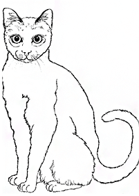 Desenhos de gatos para colorir – Página de colorir 84