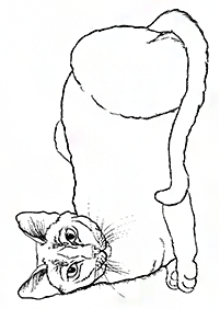 Desenhos de gatos para colorir – Página de colorir 85