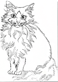 Desenhos de gatos para colorir – Página de colorir 89