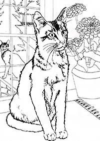 Desenhos de gatos para colorir – Página de colorir 92