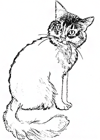 Desenhos de gatos para colorir – Página de colorir 94