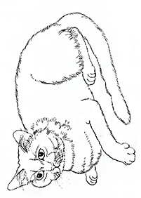 Desenhos de gatos para colorir – Página de colorir 95