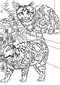 Desenhos de gatos para colorir – Página de colorir 96