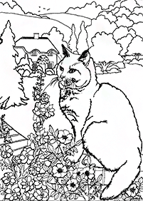 Desenhos de gatos para colorir – Página de colorir 98