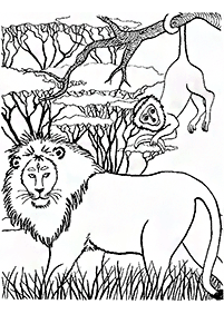 Desenhos de leões para colorir – Página de colorir 52