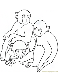 Desenhos de macacos para colorir – Página de colorir 75