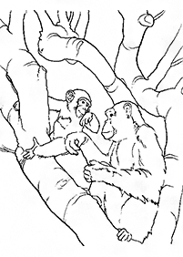 Desenhos de macacos para colorir – Página de colorir 76