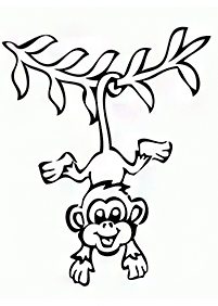 Desenhos de macacos para colorir – Página de colorir 79