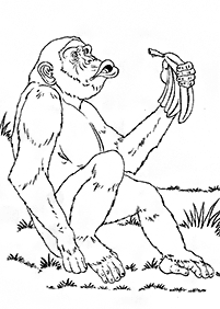 Desenhos de macacos para colorir – Página de colorir 88