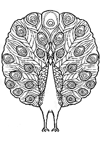 Desenhos de pássaros para colorir – Página de colorir 118