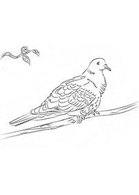 Desenhos de pássaros para colorir – Página de colorir 33