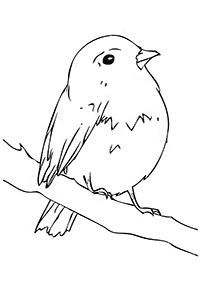 Desenhos de pássaros para colorir – Página de colorir 35