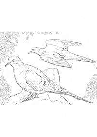 Desenhos de pássaros para colorir – Página de colorir 37