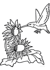 Desenhos de pássaros para colorir – Página de colorir 41