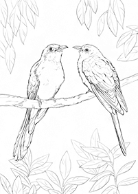 Desenhos de pássaros para colorir – Página de colorir 49