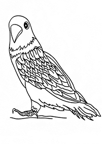Desenhos de pássaros para colorir – Página de colorir 51