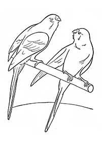 Desenhos de pássaros para colorir – Página de colorir 52