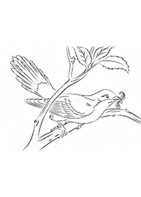 Desenhos de pássaros para colorir – Página de colorir 53