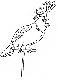 Desenhos de pássaros para colorir – Página de colorir 66