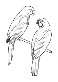 Desenhos de pássaros para colorir – Página de colorir 68
