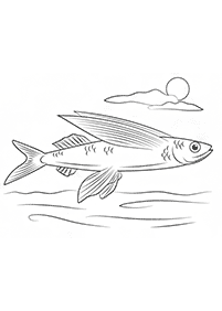 Desenhos de peixes para colorir – Página de colorir 33