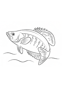 Desenhos de peixes para colorir – Página de colorir 45