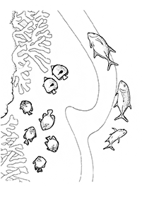 Desenhos de peixes para colorir – Página de colorir 56