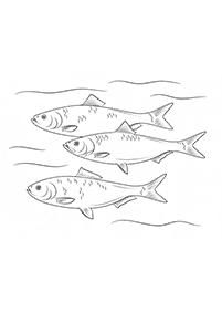 Desenhos de peixes para colorir – Página de colorir 67