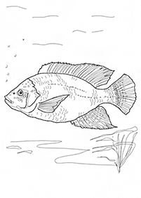 Desenhos de peixes para colorir – Página de colorir 83