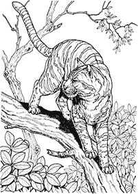 Desenhos de tigres para colorir – Página de colorir 29