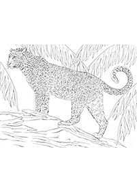 Desenhos de tigres para colorir – Página de colorir 37