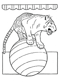 Desenhos de tigres para colorir – Página de colorir 42