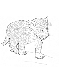 Desenhos de tigres para colorir – Página de colorir 45