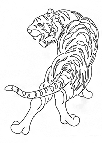 Desenhos de tigres para colorir – Página de colorir 64