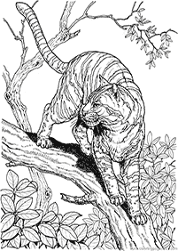 Desenhos de tigres para colorir – Página de colorir 75