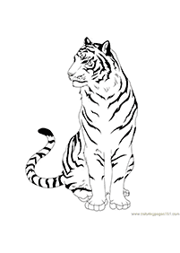 Desenhos de tigres para colorir – Página de colorir 79